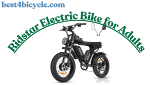 Read more about the article Ridstar Electric Bike for Adults Review
