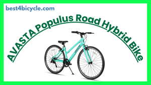 Read more about the article AVASTA Populus Road Hybrid Bike