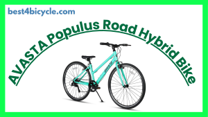 Read more about the article AVASTA Populus Road Hybrid Bike