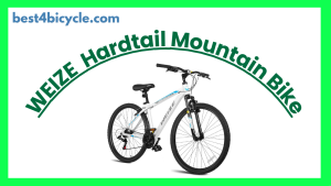 Read more about the article WEIZE KBB-6011 Hardtail Mountain Bike