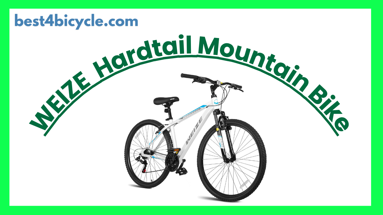 Read more about the article WEIZE KBB-6011 Hardtail Mountain Bike
