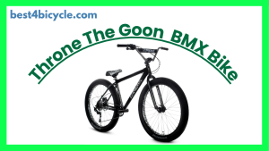 Read more about the article Throne Cycles The Goon 29″ BMX Bike