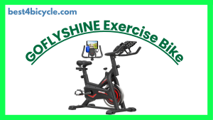 Read more about the article GOFLYSHINE Exercise Bike Review