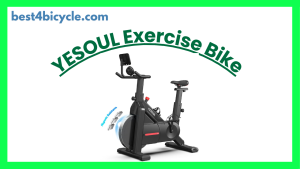 Read more about the article YESOUL Self-Powered-Fan Exercise Bike