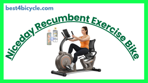 Read more about the article Niceday Recumbent Exercise Bike Review