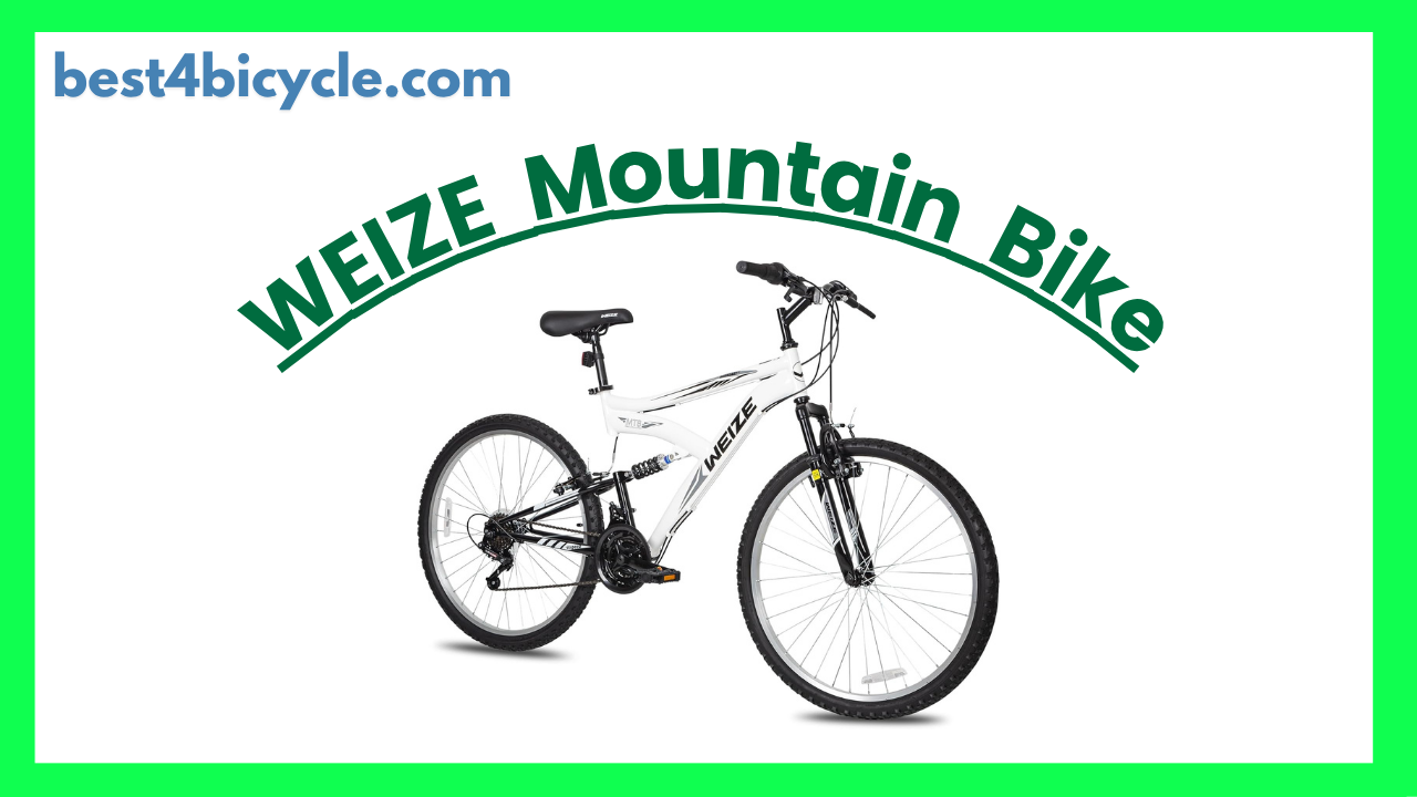 Read more about the article WEIZE KBB-6007 Mountain Bike