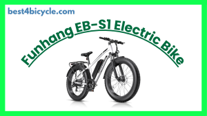 Read more about the article Funhang EB-S1 Electric Bike for Adults