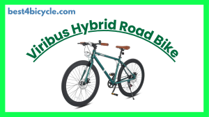 Read more about the article Viribus Hybrid Bike Review