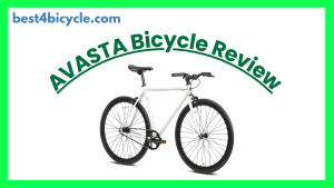 Read more about the article AVASTA Single-Speed Fixed Gear Bike