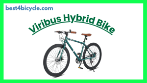 Read more about the article Viribus Hybrid Bike Review