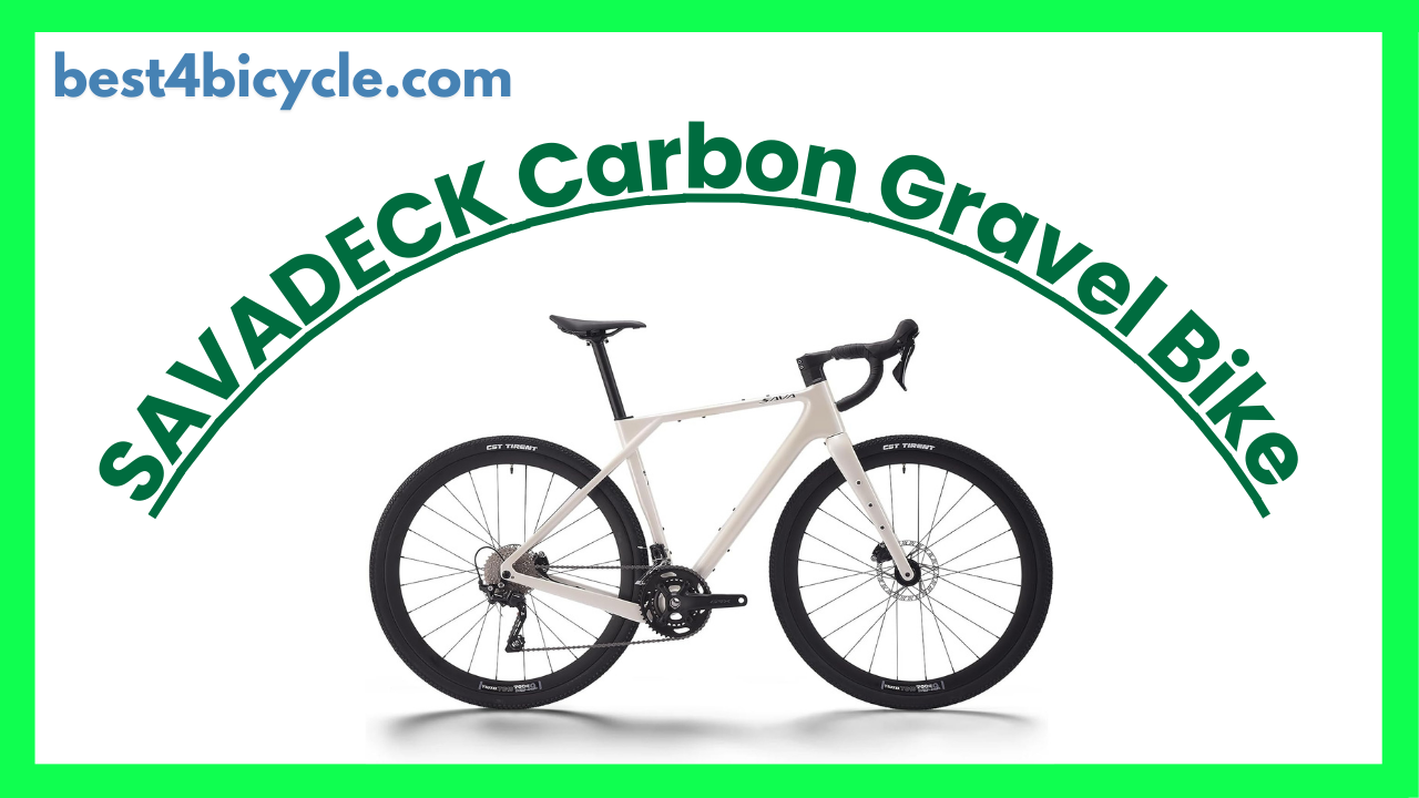 Read more about the article SAVADECK Carbon Gravel Bike Review
