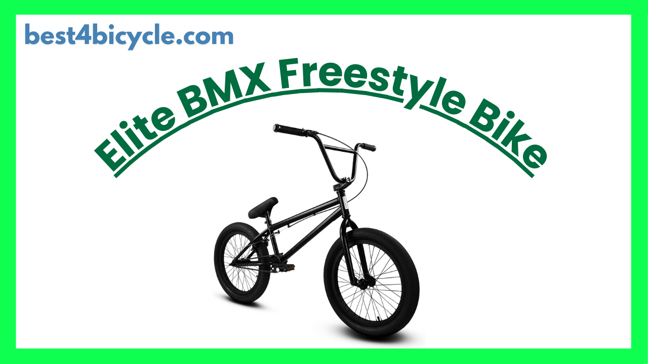 Read more about the article Elite BMX Stealth Freestyle Bike