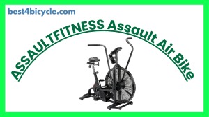 Read more about the article ASSAULTFITNESS Assault Air Bike